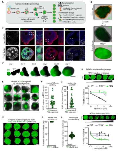 05d980460cfa491aa209142178a55d5f39b30f0c 圖片來源
