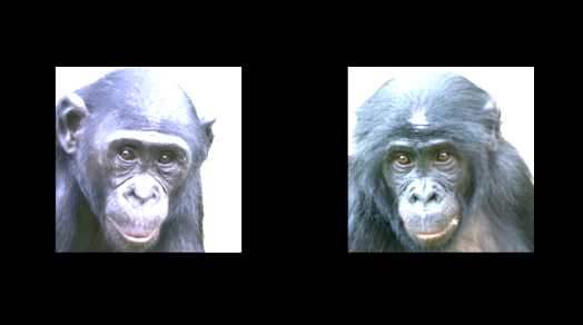 05e286afa1185431113c02a42089a2d417639408