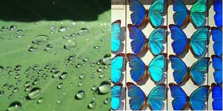 07fcf6dd970ceb4b0c4a0ac70583acdc496d6dfb