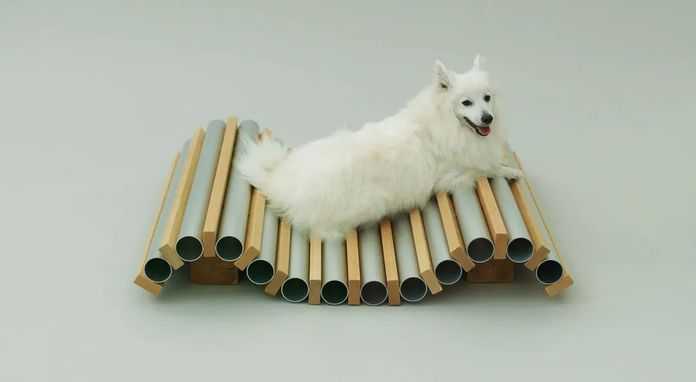 0cf2f876942cbb45f975d2ff981f3f498b69a91a D-TUNNEL|KENYA HARA