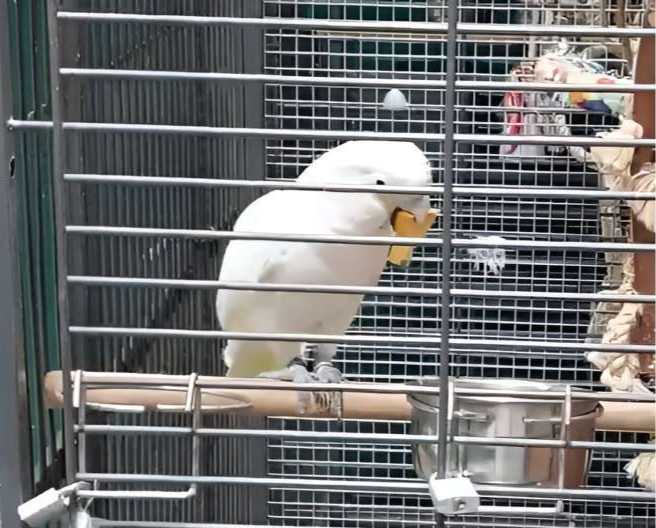 12891a481647b6d3436b096b94aeb08b4b63be3f