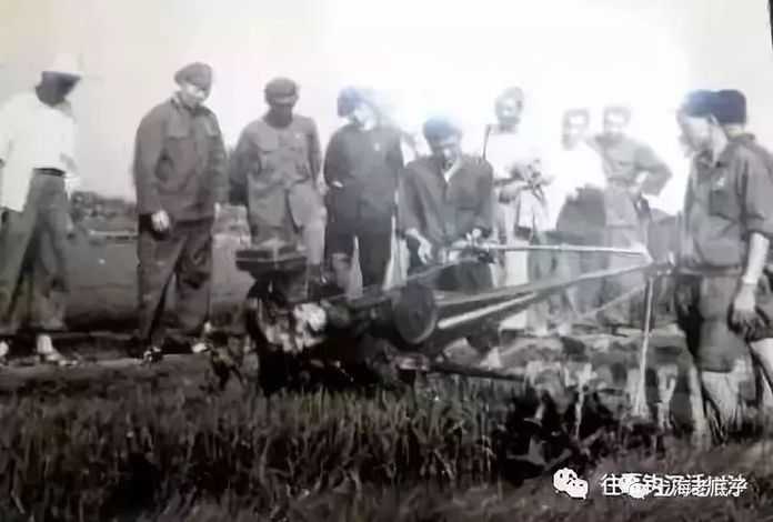 川沙老幹部活動中心