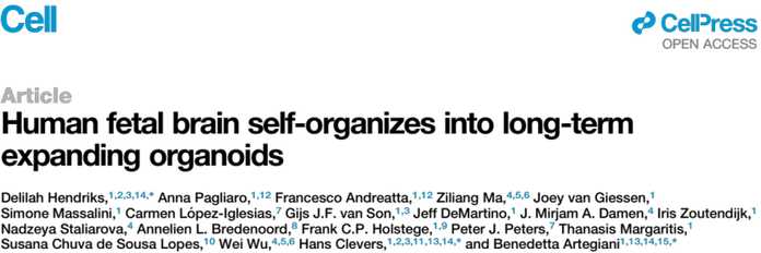 1bac9aa7b4fc1aee84e16dc9706c0ea0de8a25bf 圖片來源