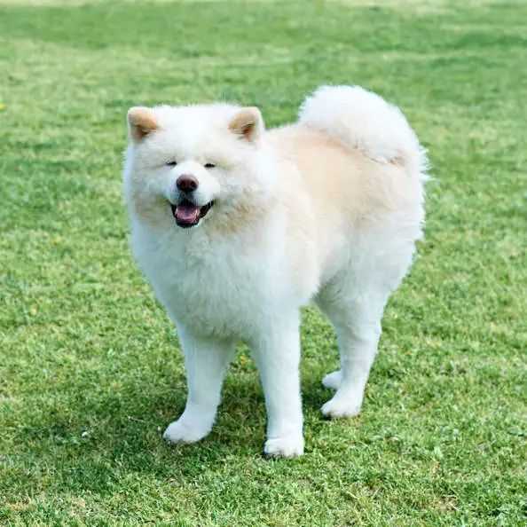 1bd9fec65fd0aa496d64ec2a631fda2da69c7453