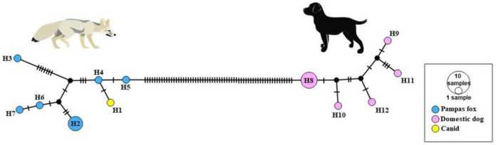 2a7fd95cd52c9ca007226ea194258a9b4b5fded1