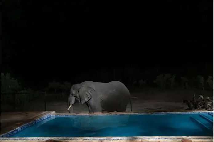 3d6df4c2806f3f40d915c42c02a16453dcba5b1d