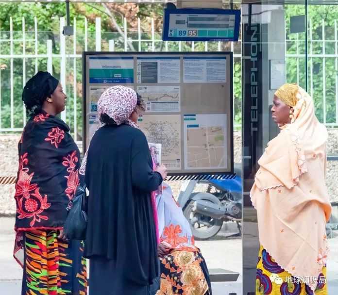 424f23cc188d41b27af685cfd5db876035d77184 (圖片:Barbara Ash / shutterstock)