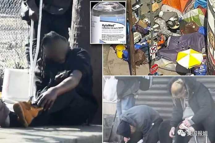 499e306c0a53dd44f3fc319d6d6876e15efdc935