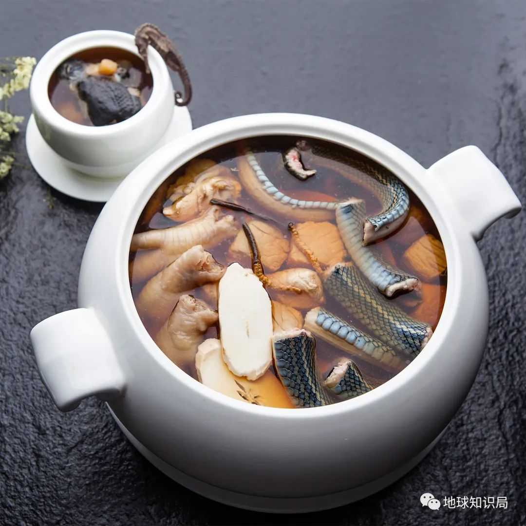 （圖：圖蟲創意）