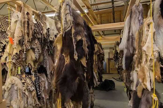 50cbaddecc04453f5c4e9b70b2411ceb1d0cae33