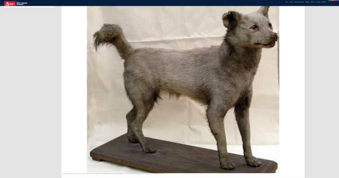 555d83ada21deffcc827edee176860cdecb92fa3