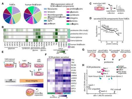 56570634201b56016f026b0998873091d9c3a0f8 圖片來源