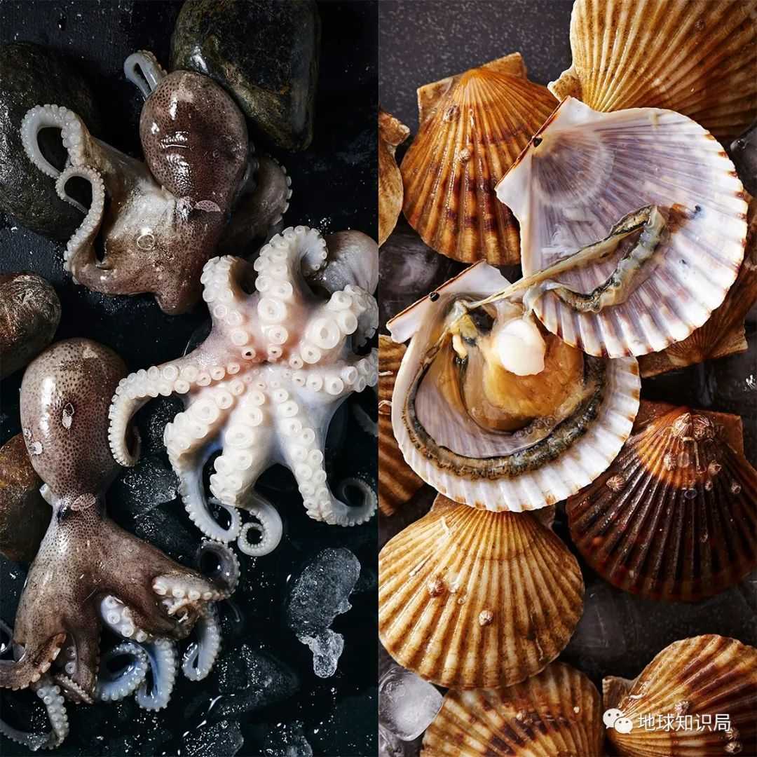 （圖：圖蟲創意）