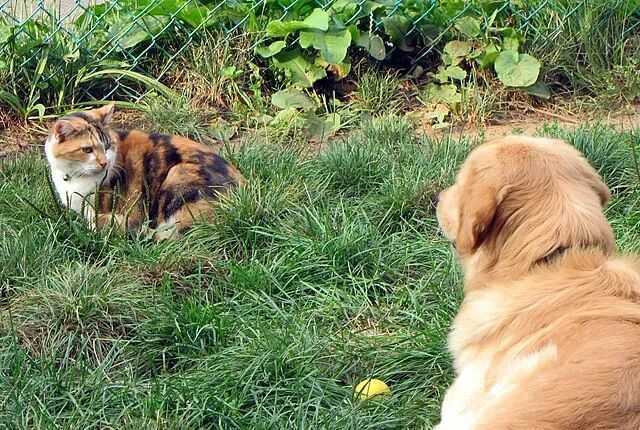 5cbe762319f34581ae2ec5e4dccf8b75d47b8f7d