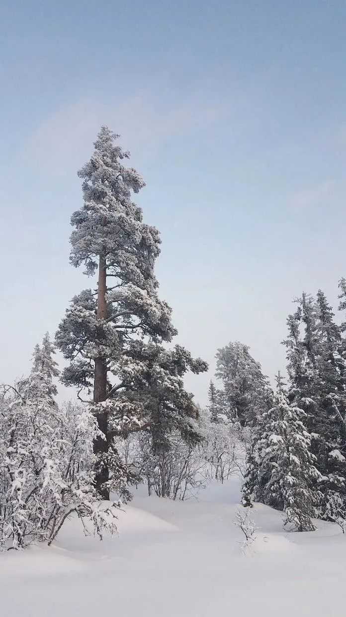 6ee9da774c7b41258e73ceef40d66e467d4fb20e