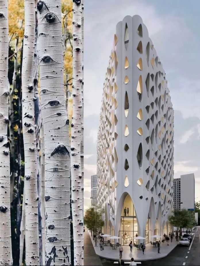 6fbc51d42e0e75286d443bb4e741f578e919024c