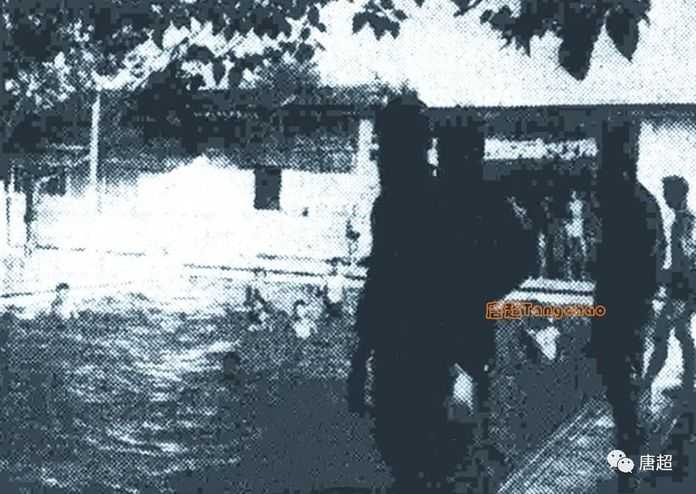 兩江游泳池前的美人魚，楊秀瓊