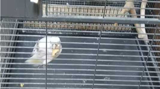 7923f9521a3277f9c39006a367cb47ceab198e4f