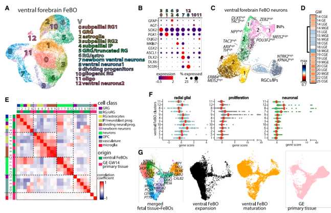 83d8c2ca95ef4627ec4e314809b1b0a6fd1767a4 圖片來源