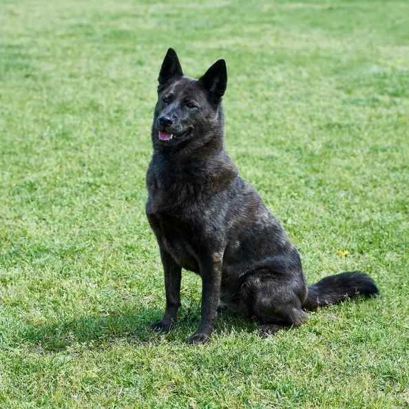 9f6e43560f799208c1bf66d365d68034fb7c7081