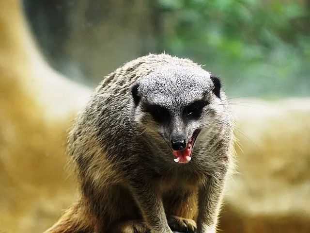 a512e97b040091c845da9bf893f48e9025e6b738