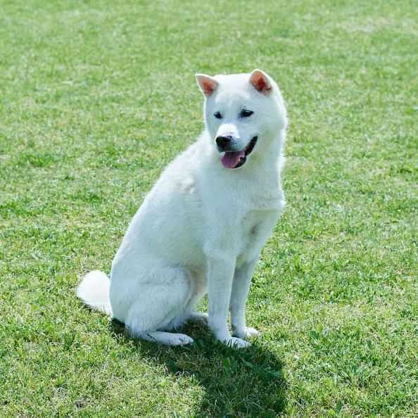 a542567df79645dd31e95679490e71c3c3d14e15