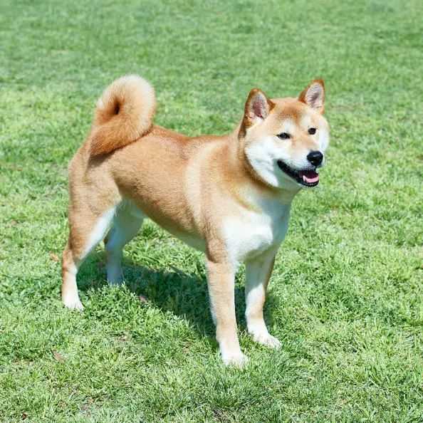 a89919151bf4c9c0d1ce09d69eaefa8ba5db9c74