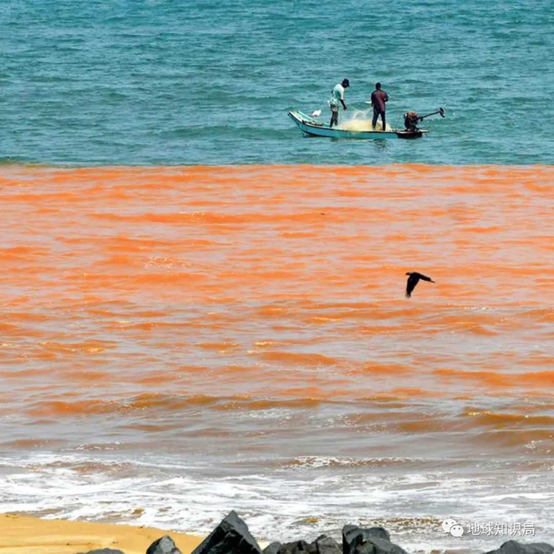 ad1771f72e495b515a0603a5a01a003faf370547 (圖:thehindu)