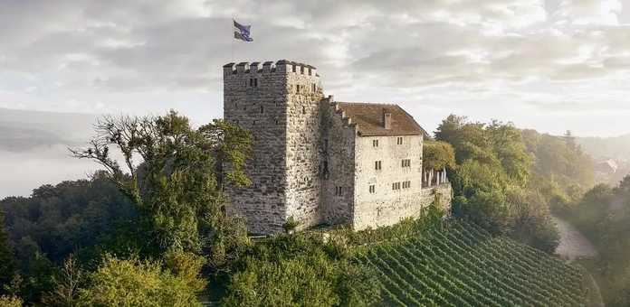 b704b8ac1239154cbf41c77c7ab1b1eb5a2d8490 發源於瑞士的哈布斯堡家族