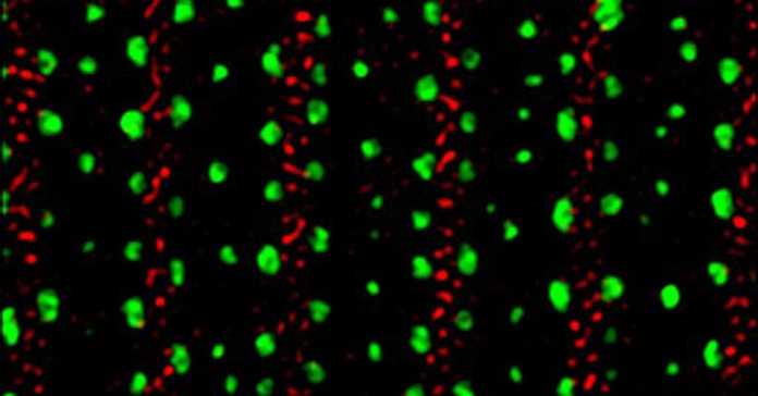 ba51cb2ae778eab4fd4758fc72b86dcda14c2b4e