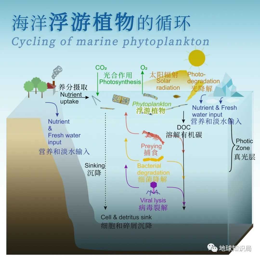 bb4d9d7dd622b56fdaeb8582a87b3237213f5dc2 (來源:wiki)