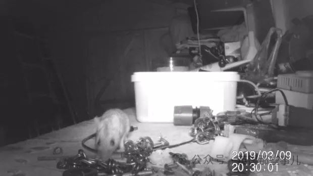 c_pic_170455603439209