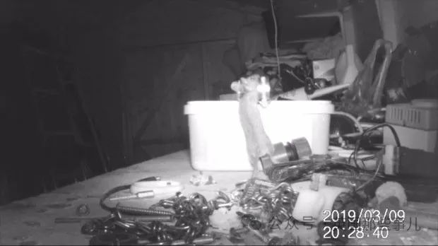 c_pic_170455603449657