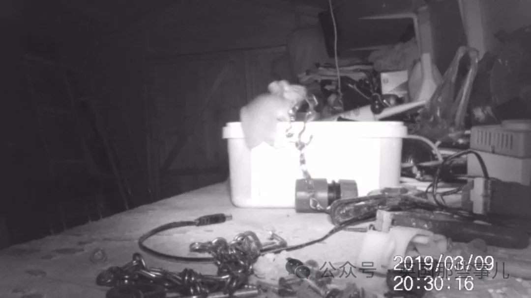 c_pic_170455603459594