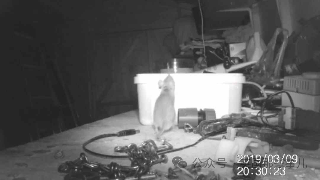 c_pic_170455603573158