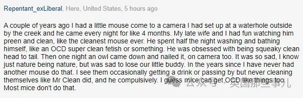 c_pic_170455603678426