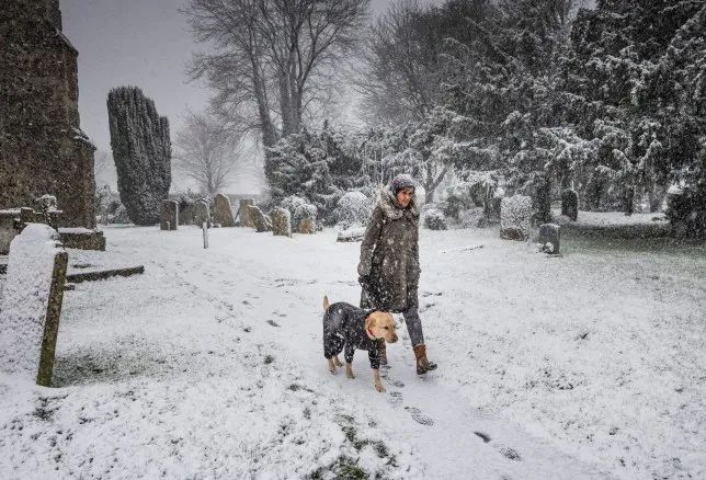 c_pic_170476224322461