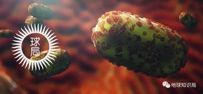 cba597f311c69d1e6fc43d83108a440ffa09c767