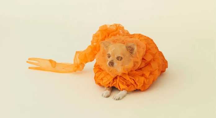 d0895cf4796acddb65f5cbd76e886291c6af3198