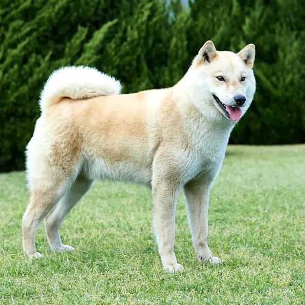 dc790a366a3d7dd75296e91976f51f0cf96f329b 左右滑動