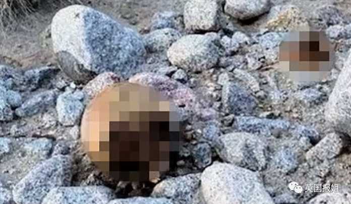 de3083c7888b3f18950bbd7144b3cc310a7e282c