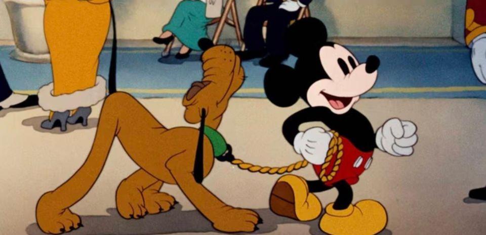 e4620985-6848-46ee-8cf3-db5dec842eb2