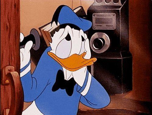 e8201d39-9bd7-44d4-a43b-370a54fef857