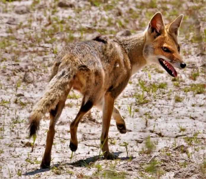 f23d2d3582328f56b1c696849831afdf79941cb0