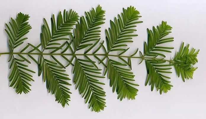 f5226026a9216a0fc8515da8d9af2e36a9ad258b