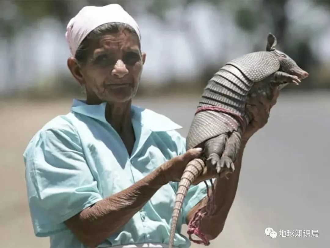 f65f8ecd14e612a1ed8ce480018b7900a007981f (圖:shutterstock & i.cbc.ca)