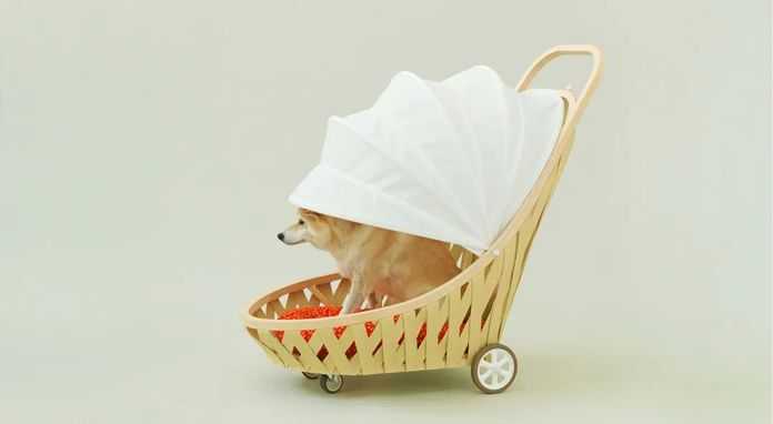 f8f4d2876861785bcbe03f71fdc25338044e1cba