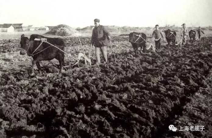 僑光中學揭牌儀式