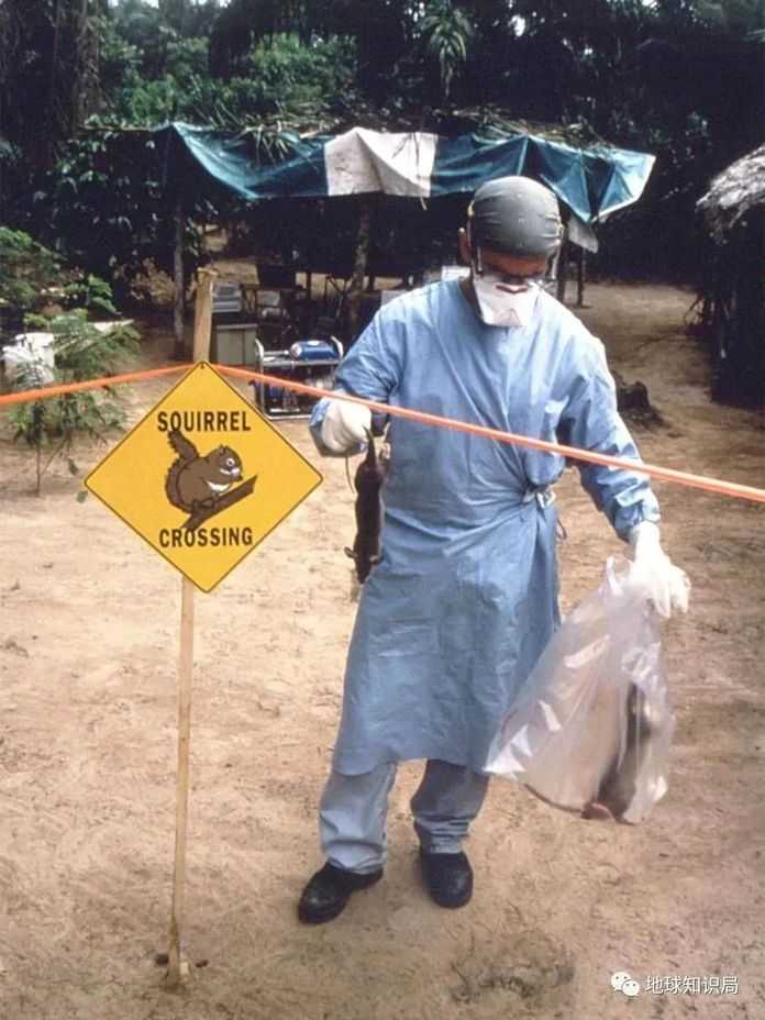 fab482ecc24de56bf7454363e6b6406085a960ca (圖:outbreakobservatory.org)