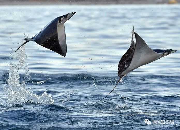 （圖：圖蟲創意）